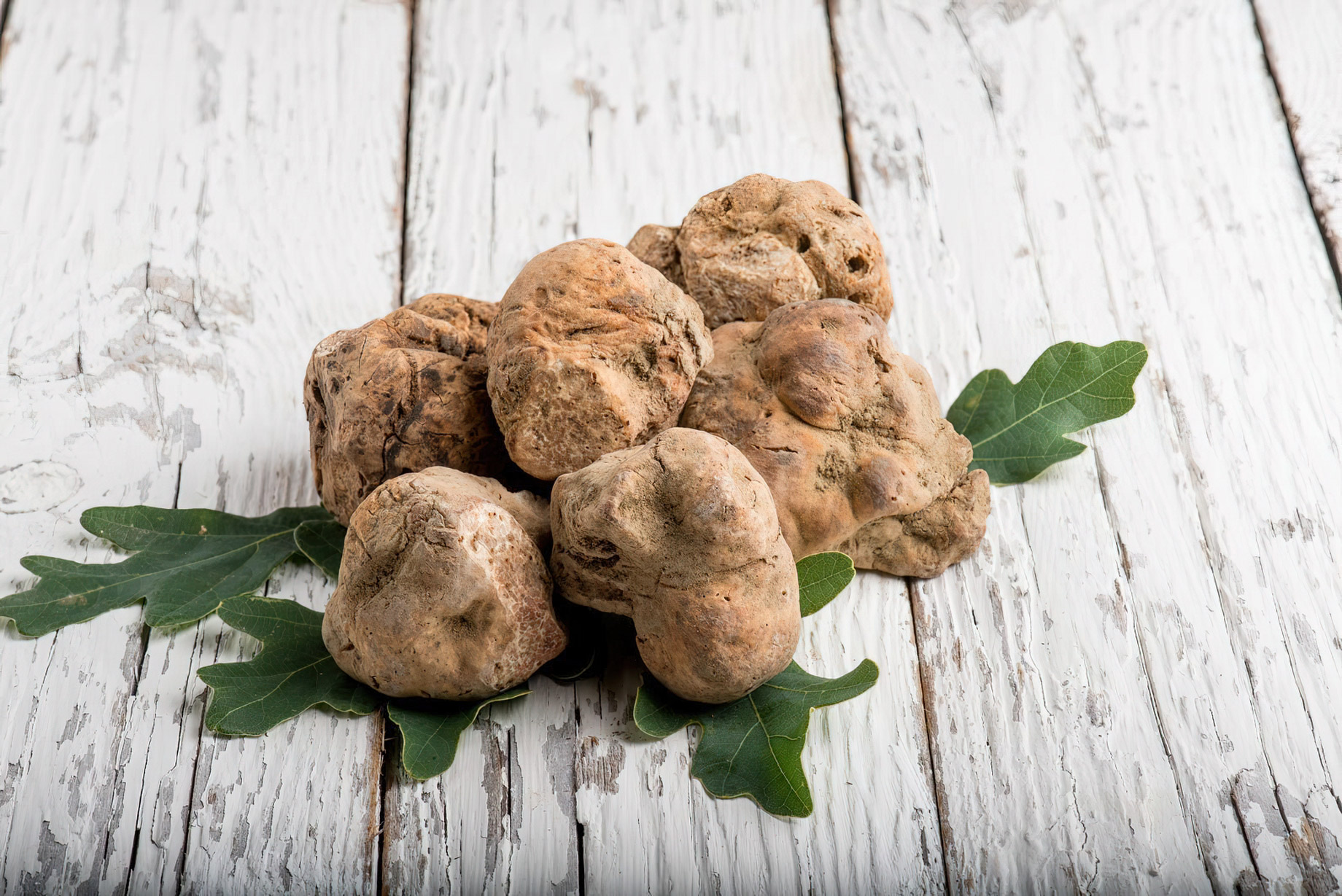 The St. Regis Macao Hotel – Cotai, Macau SAR, China – Truffles