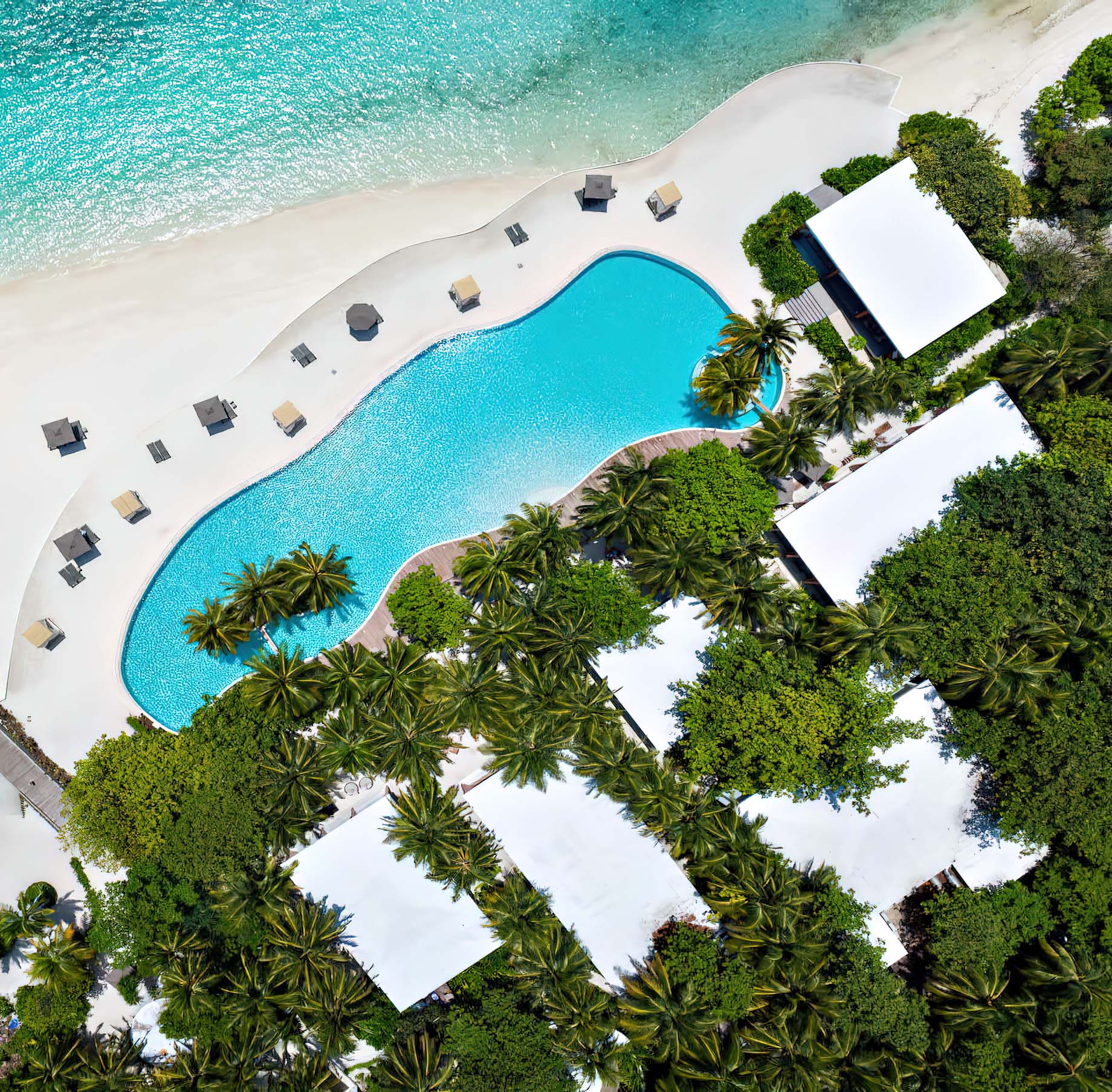Amilla Fushi Resort and Residences – Baa Atoll, Maldives – Oceanfront Infinity Edge Pool Overhead Aerial