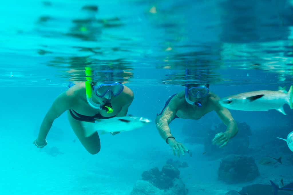 The St. Regis Bora Bora Resort - Bora Bora, French Polynesia - Lagoonarium Snorkeling
