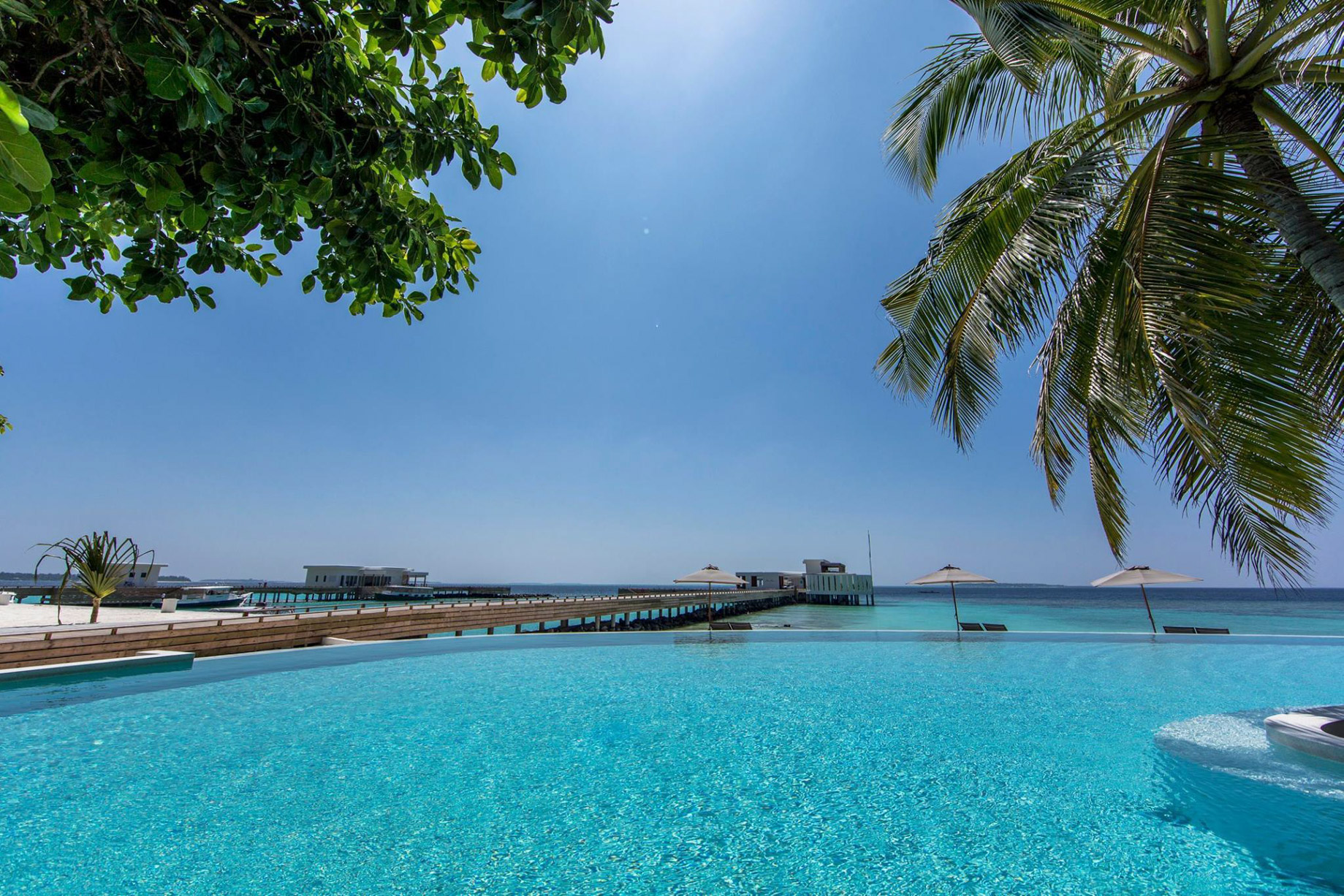 Amilla Fushi Resort and Residences – Baa Atoll, Maldives – Beachfront Infinity Edge Pool Oceanview