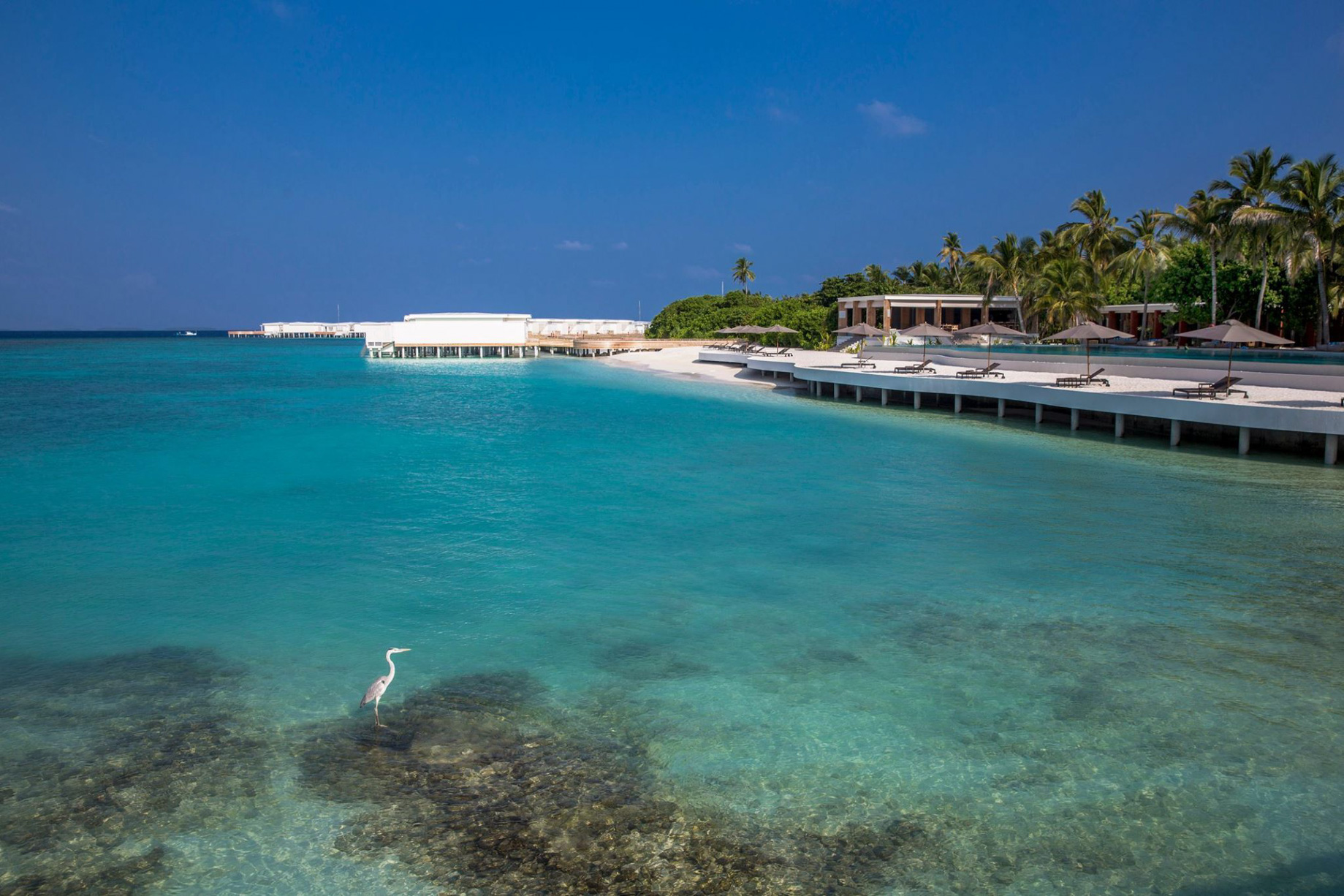 Amilla Fushi Resort and Residences – Baa Atoll, Maldives – Resort Oceanfront Infinity Edge Pool Deck