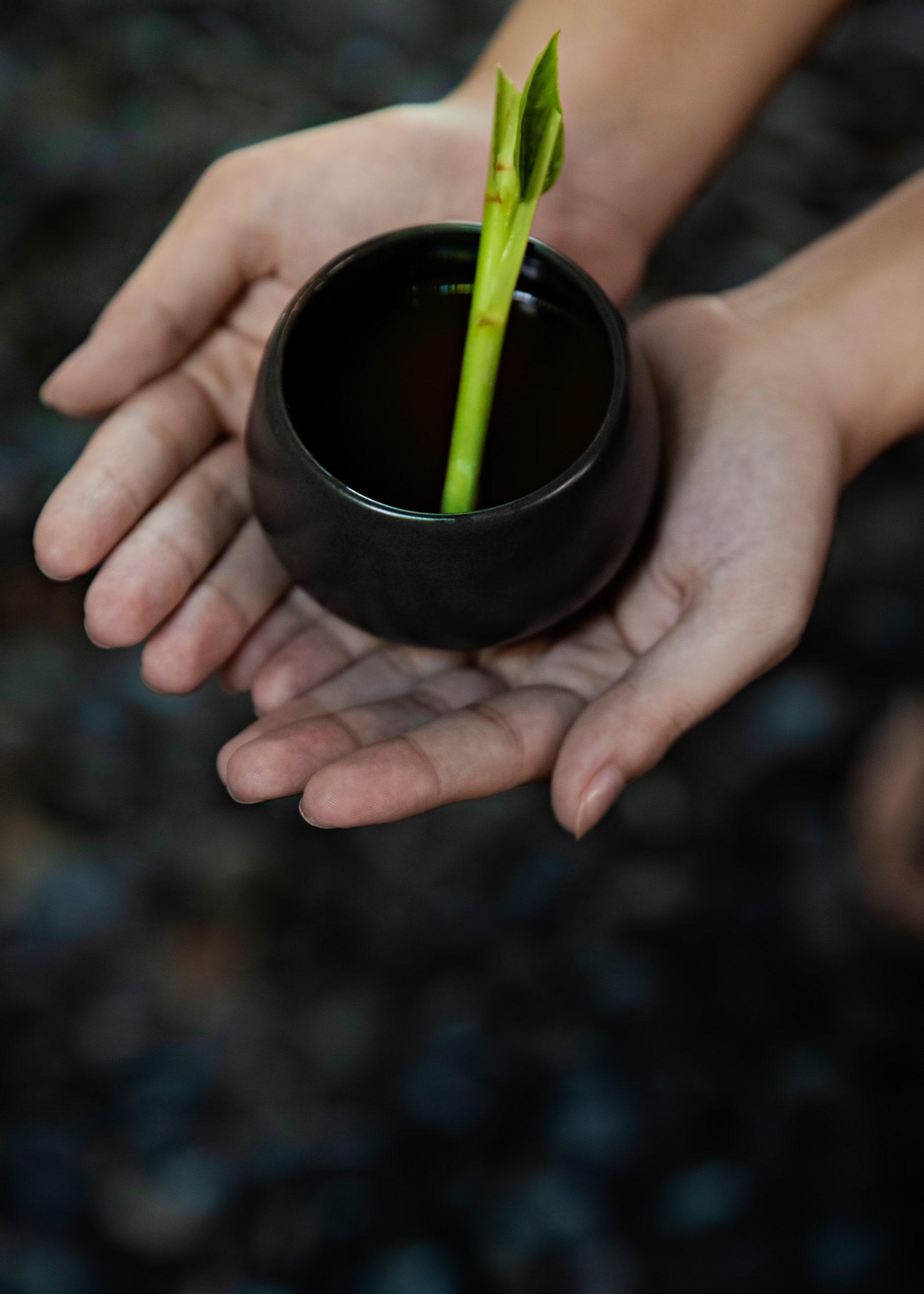 One&Only Reethi Rah Resort – North Male Atoll, Maldives – Spa Reception Zen