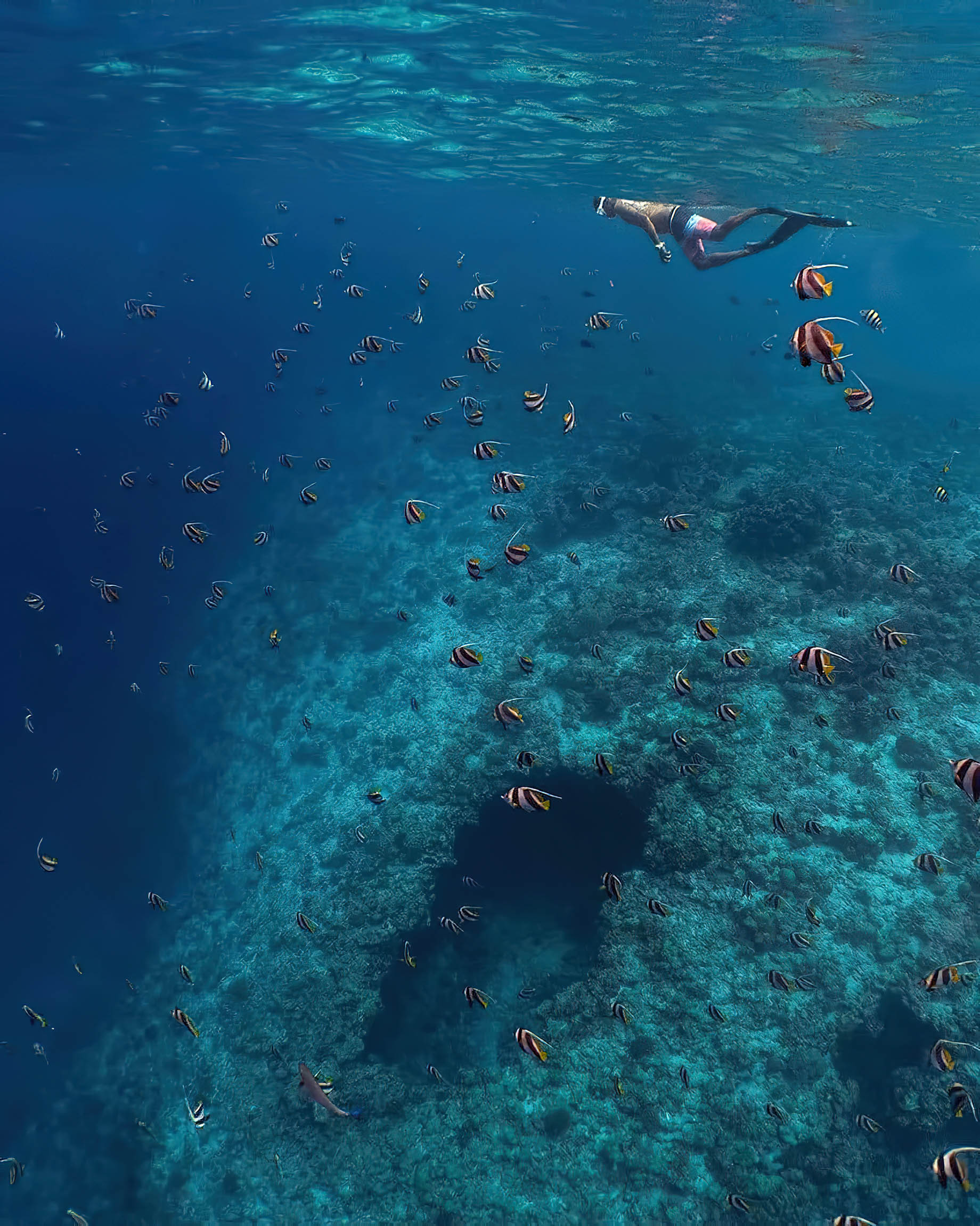 Amilla Fushi Resort and Residences - Baa Atoll, Maldives - Ocean Watersports Snorkeling