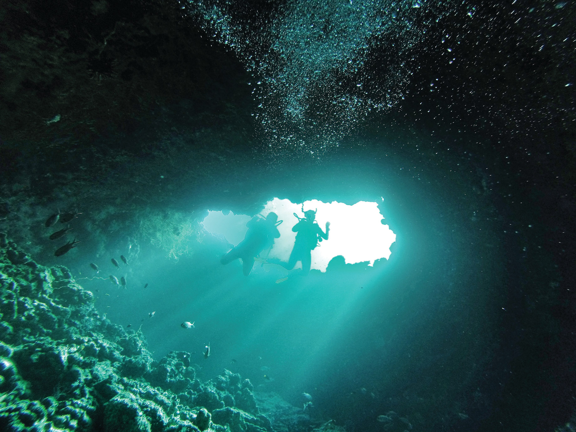 Amilla Fushi Resort and Residences - Baa Atoll, Maldives - Blue Hole Scuba Diving Experience