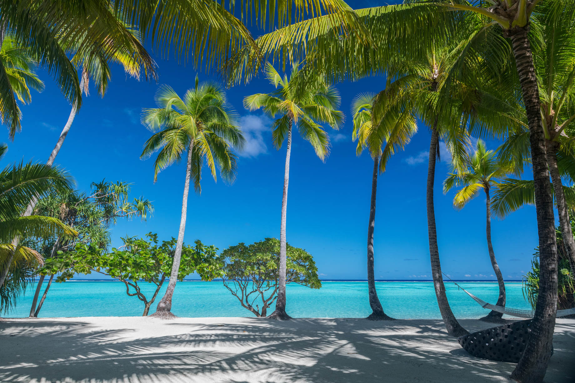 The Brando Resort – Tetiaroa Private Island, French Polynesia – 3 Bedroom Villa Beachfront Ocean View