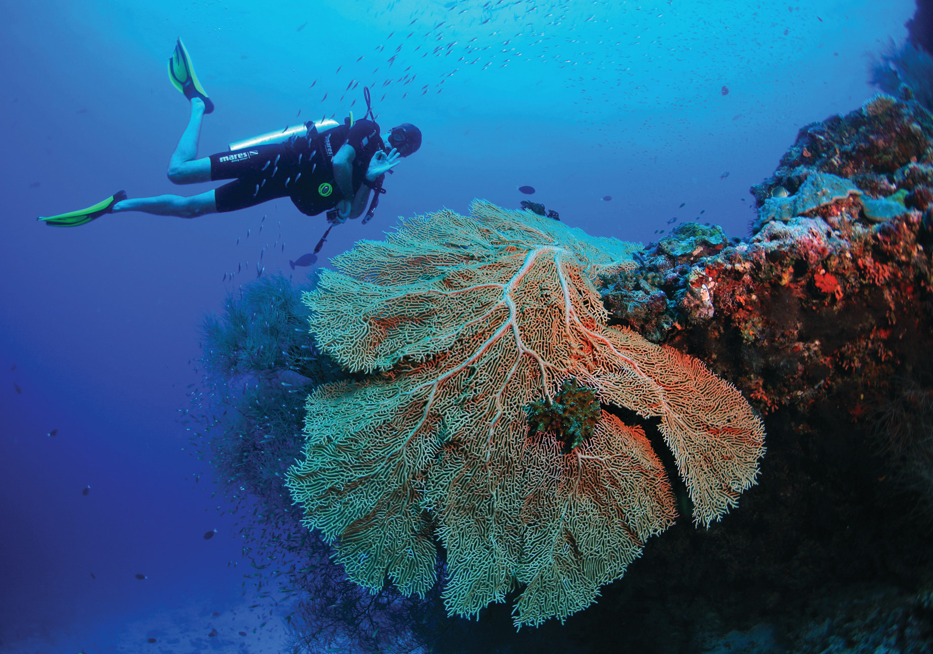 Amilla Fushi Resort and Residences – Baa Atoll, Maldives – Underwater Scuba Diving