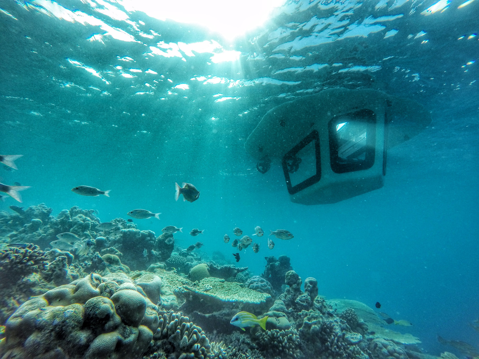 Amilla Fushi Resort and Residences – Baa Atoll, Maldives – Penguin Glass Bottom Boat