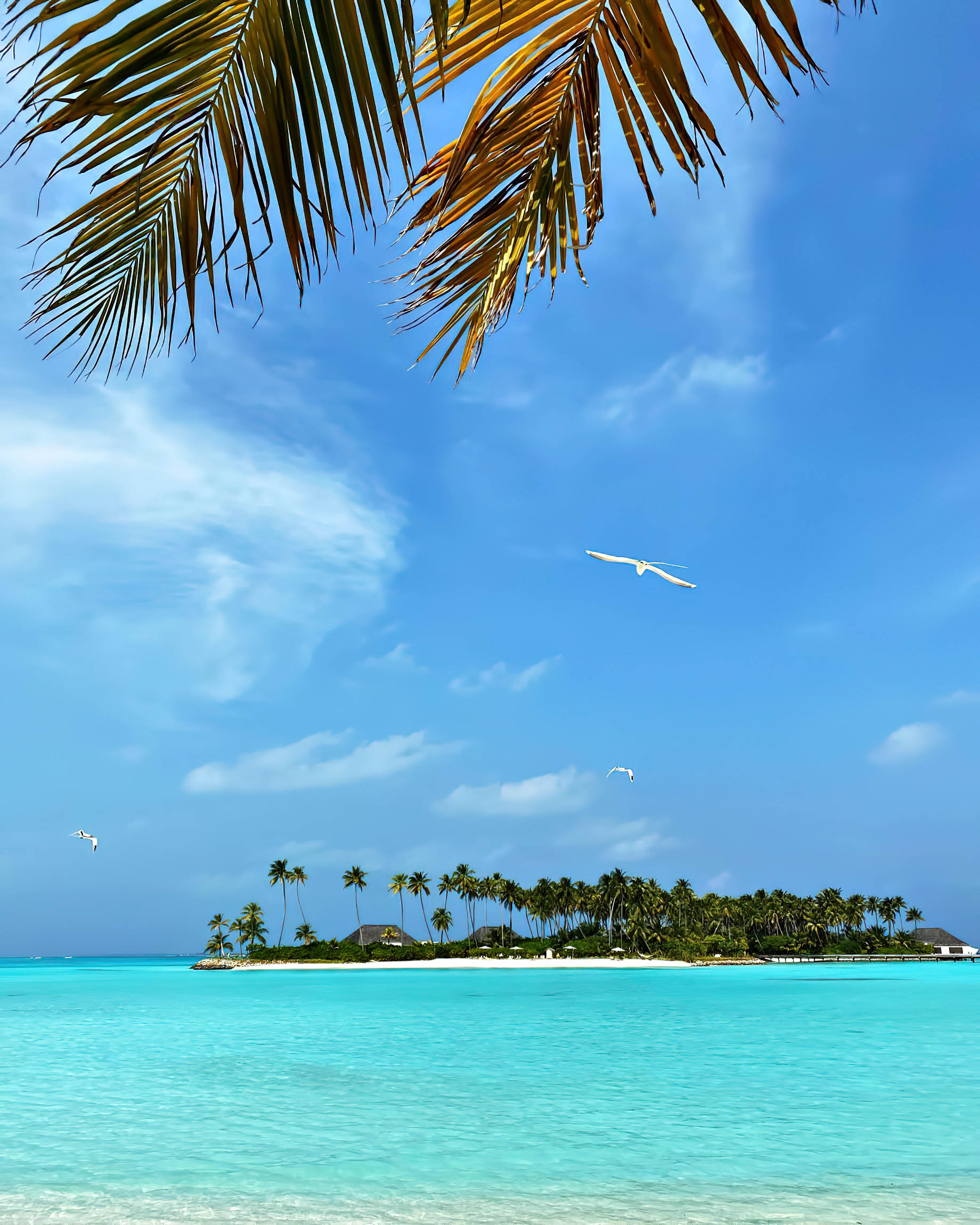 Cheval Blanc Randheli Resort – Noonu Atoll, Maldives – Private Island View