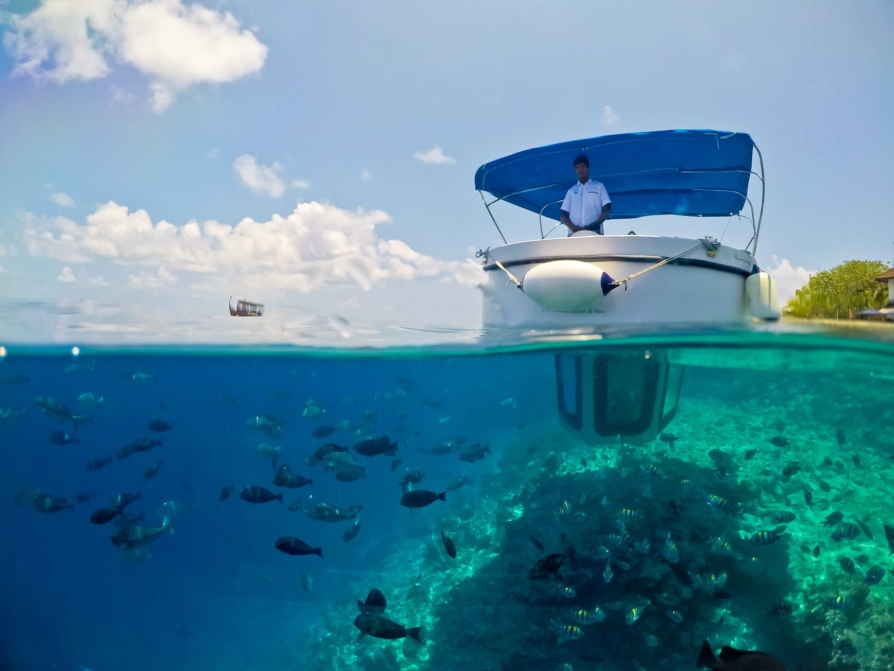 Amilla Fushi Resort and Residences – Baa Atoll, Maldives – Penguin Glass Bottom Boat Under Over Water View