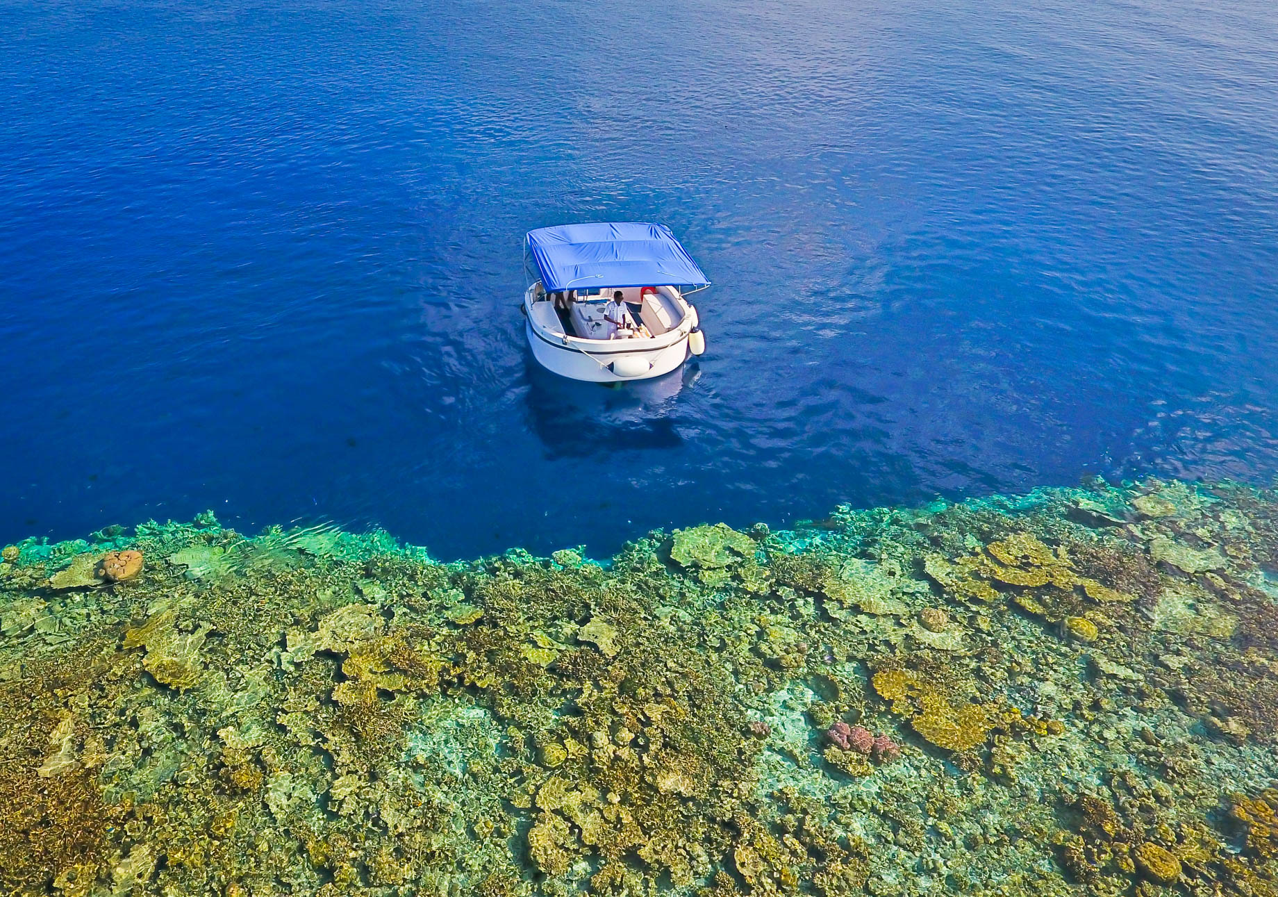 Amilla Fushi Resort and Residences – Baa Atoll, Maldives – Penguin Glass Bottom Boat Aerial