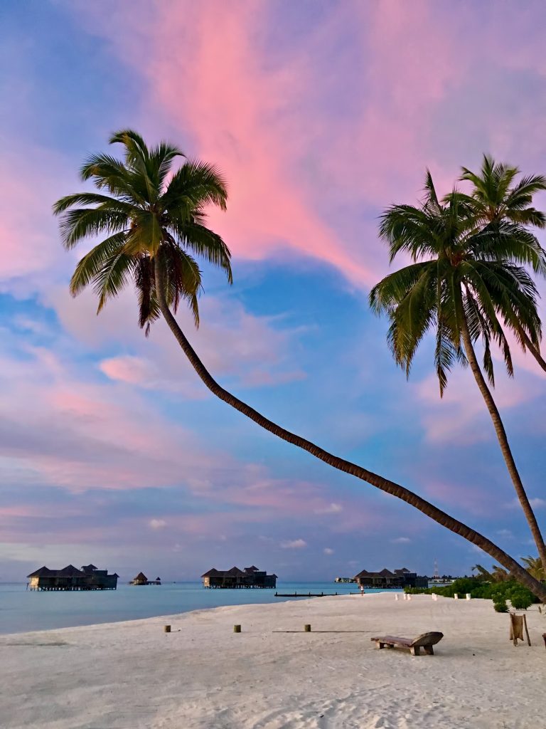 Gili Lankanfushi Resort - North Male Atoll, Maldives - Beach Palm Tree Sunset
