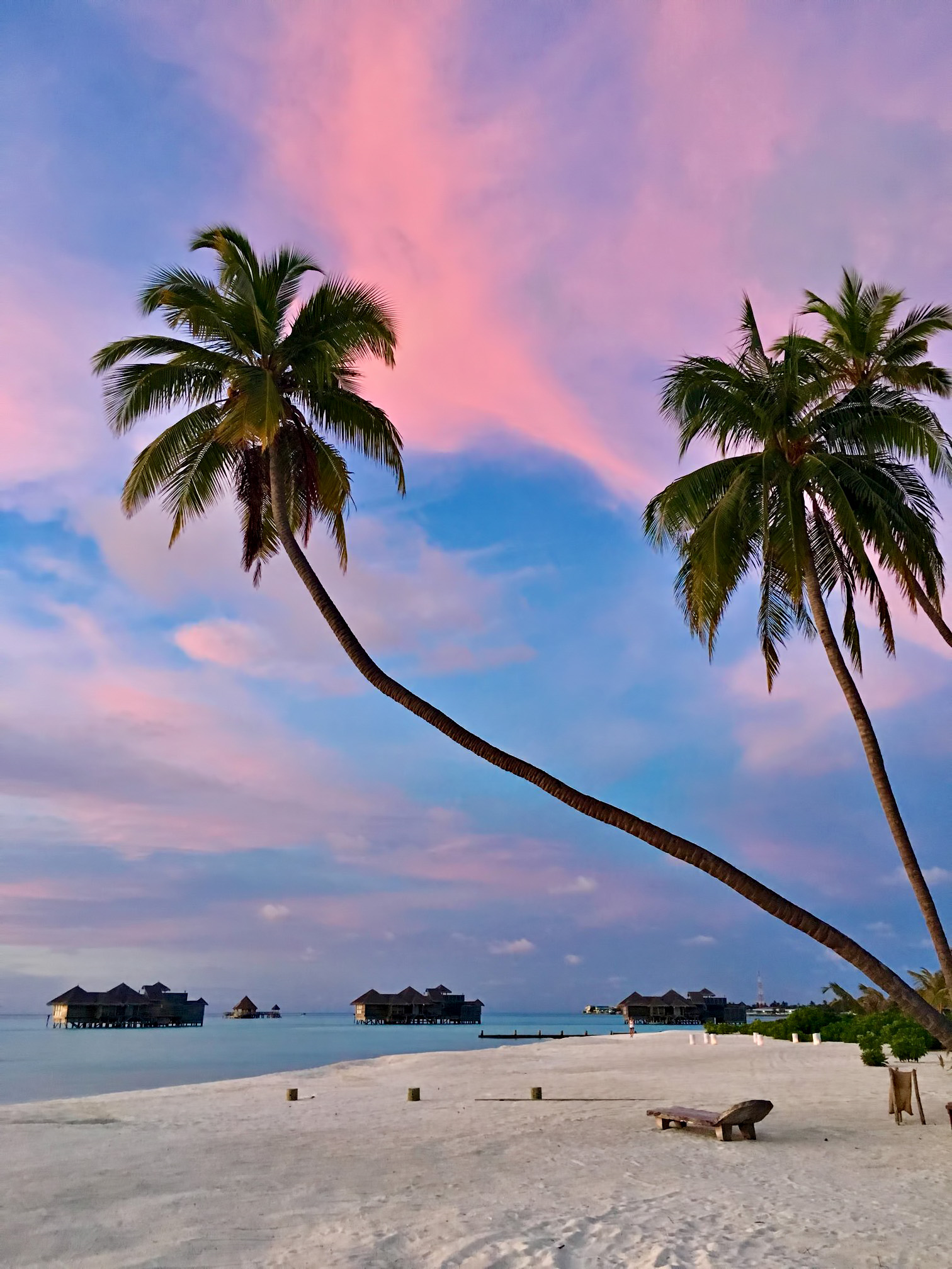 Gili Lankanfushi Resort – North Male Atoll, Maldives – Beach Palm Tree Sunset
