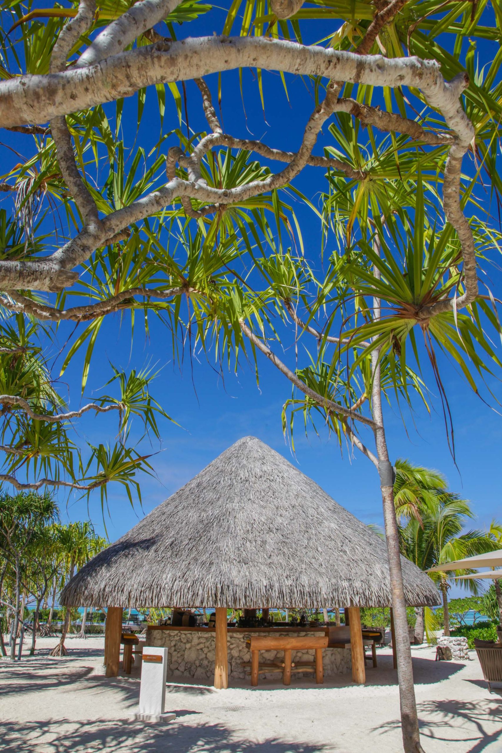 The Brando Resort – Tetiaroa Private Island, French Polynesia – Bobs Bar