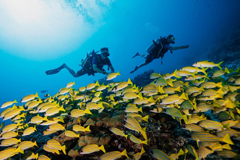 One&Only Reethi Rah Resort - North Male Atoll, Maldives - Scuba Diving