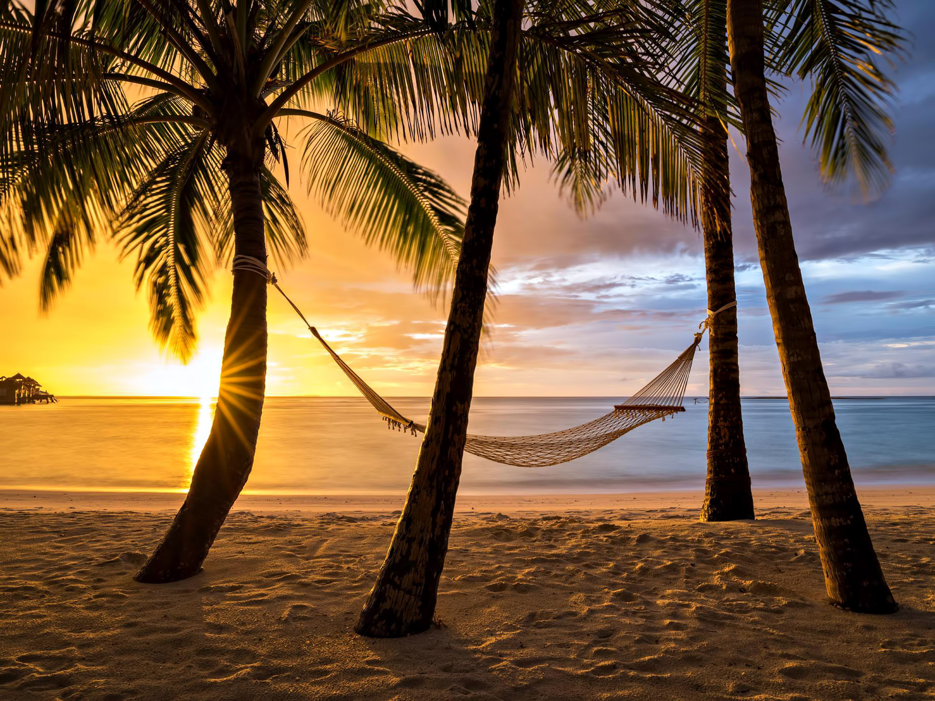 Gili Lankanfushi Resort – North Male Atoll, Maldives – Beach Palm Tree Hammock Sunset