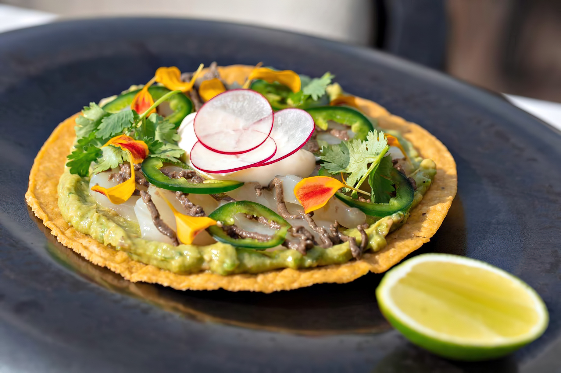 Amilla Fushi Resort and Residences – Baa Atoll, Maldives – Nanu Restaurant Gourmet Food