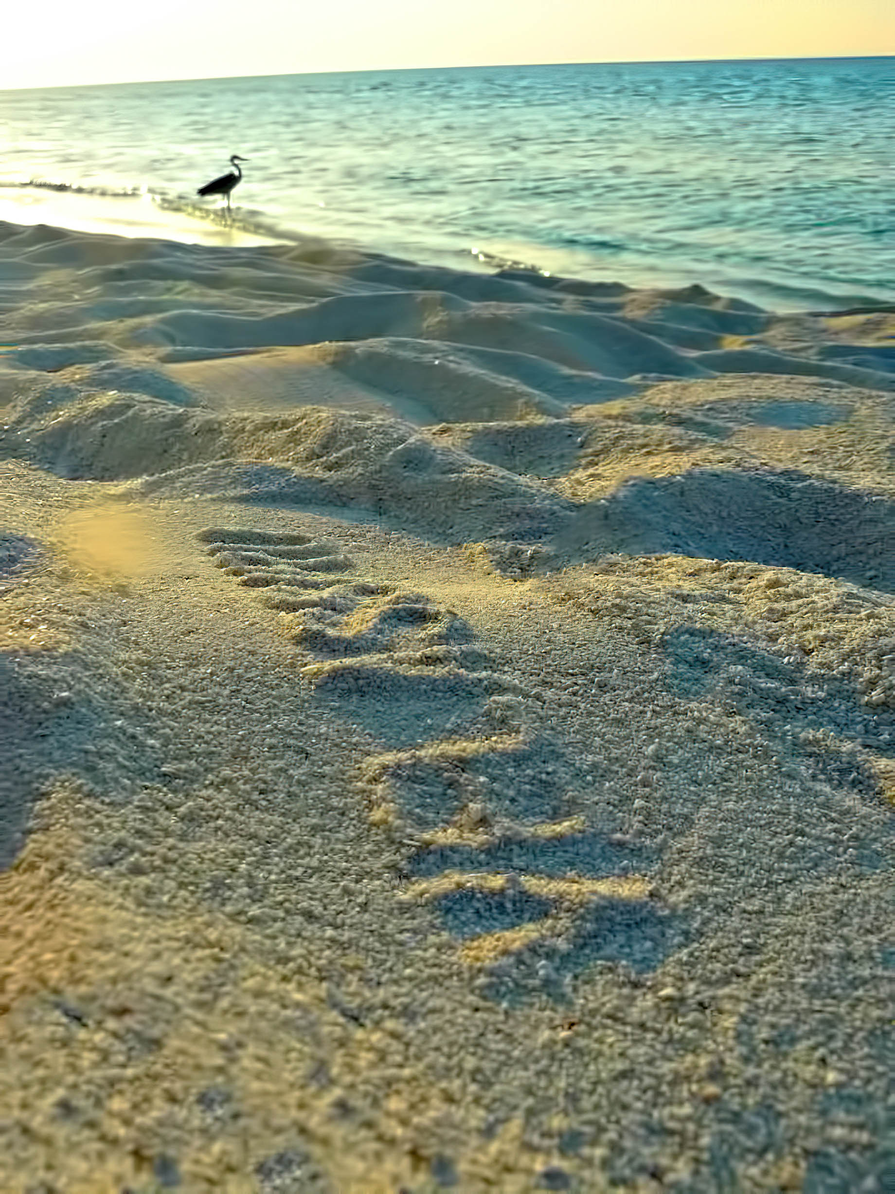 Velassaru Maldives Resort – South Male Atoll, Maldives – Beach Sand