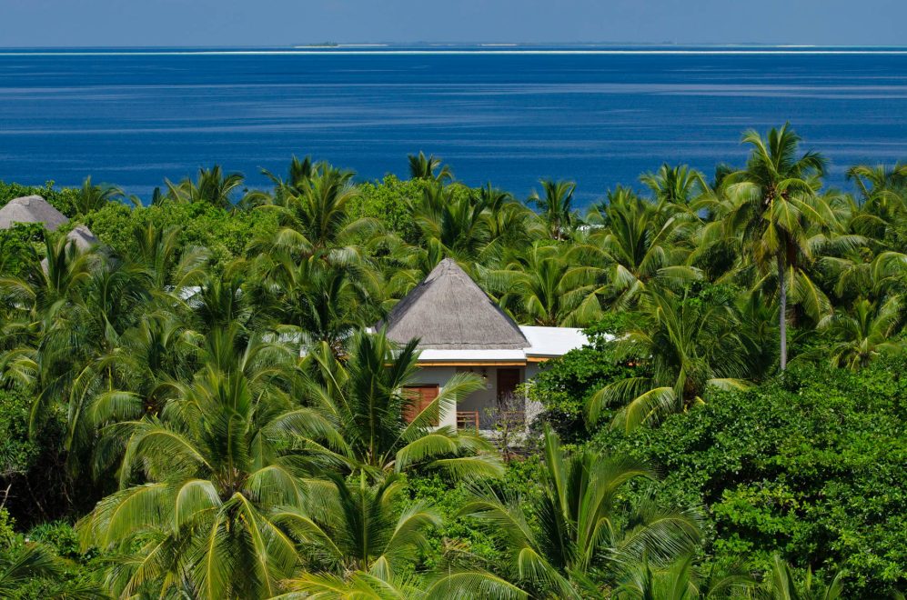 Amilla Fushi Resort and Residences - Baa Atoll, Maldives - Treetop Pool Villa