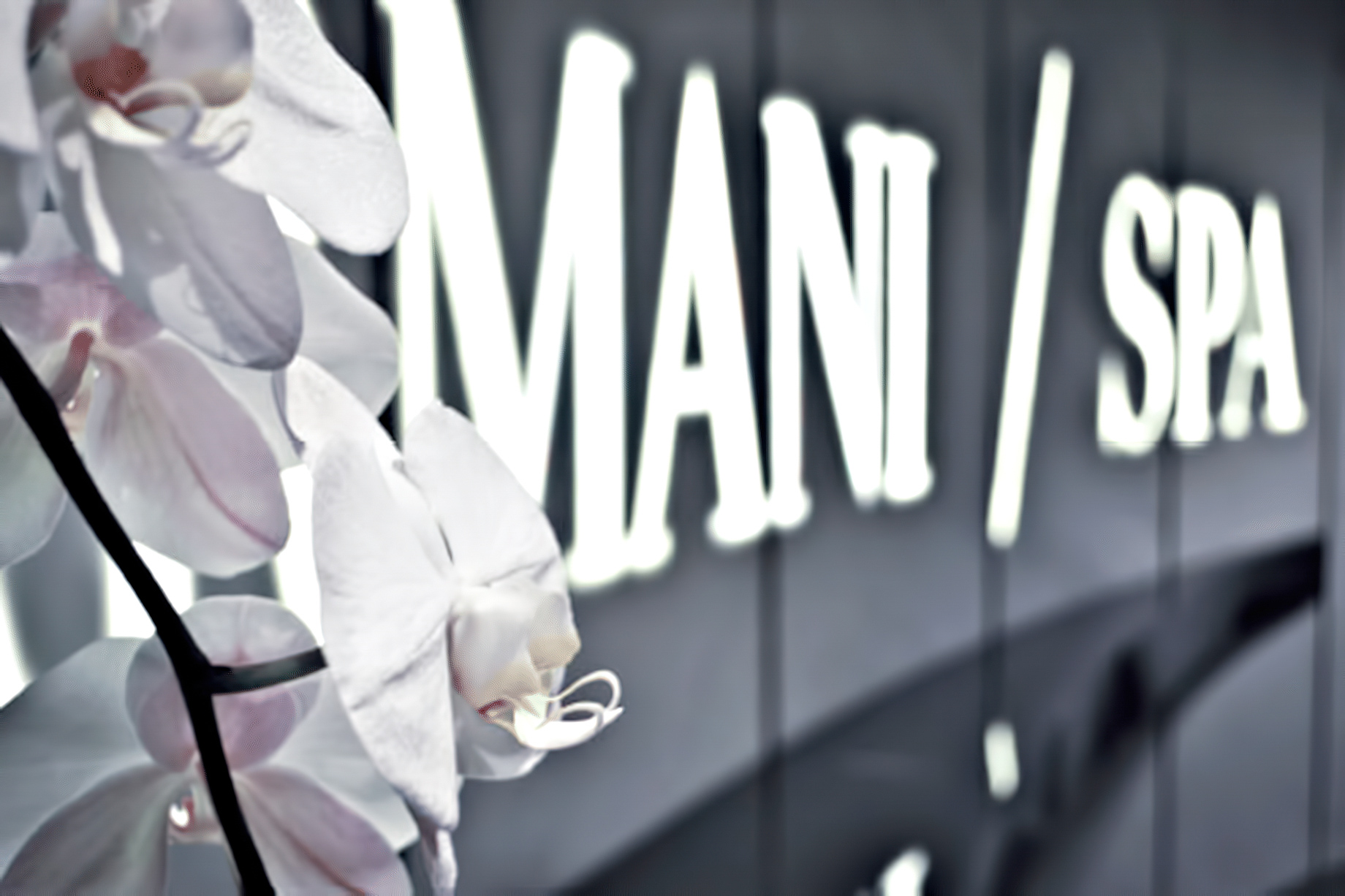 Armani Hotel Dubai – Burj Khalifa, Dubai, UAE – Armani SPA Entrance