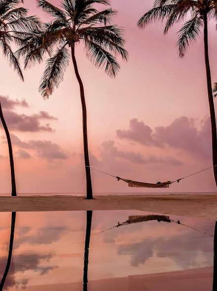 One&Only Reethi Rah Resort - North Male Atoll, Maldives - Beach Palm Tree Hammock Sunset