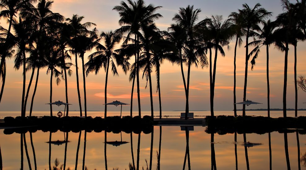 Cheval Blanc Randheli Resort - Noonu Atoll, Maldives - Beachfront Palm Trees Sunset