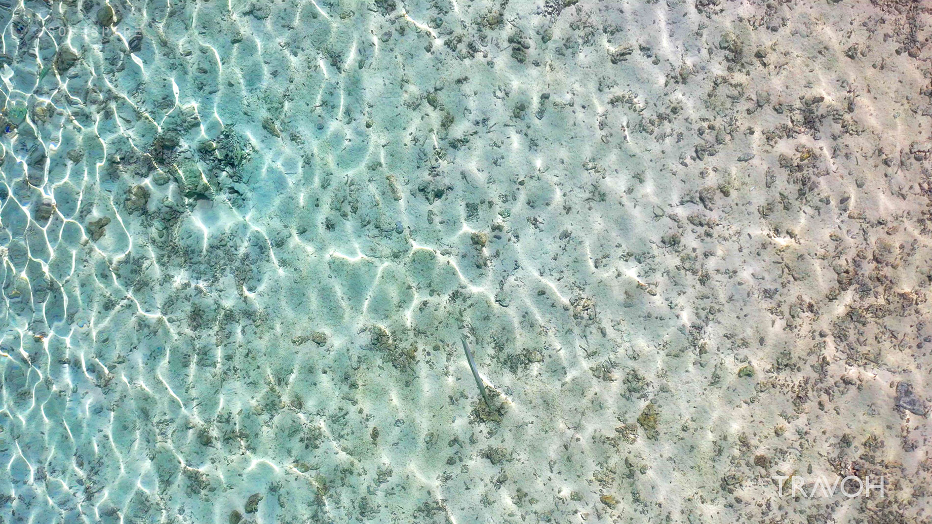 Seafloor Reflections - Tropical Seabed - Ocean Waves - Bora Bora, French Polynesia - 4K Travel Video