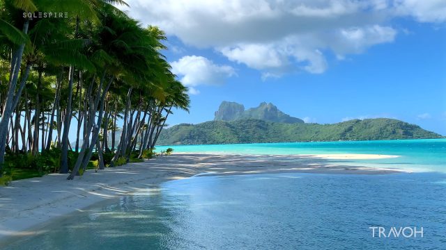 Tranquil Vibes - Sea, Beach, Palm Trees - Motu Tane Island - Bora Bora, French Polynesia - 4K Travel Video
