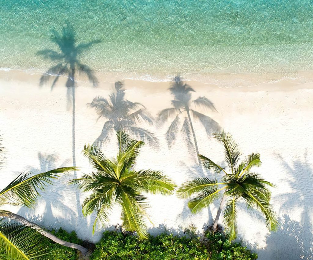 The Ritz-Carlton Maldives, Fari Islands Resort - North Male Atoll, Maldives - Island Beach Palm Trees