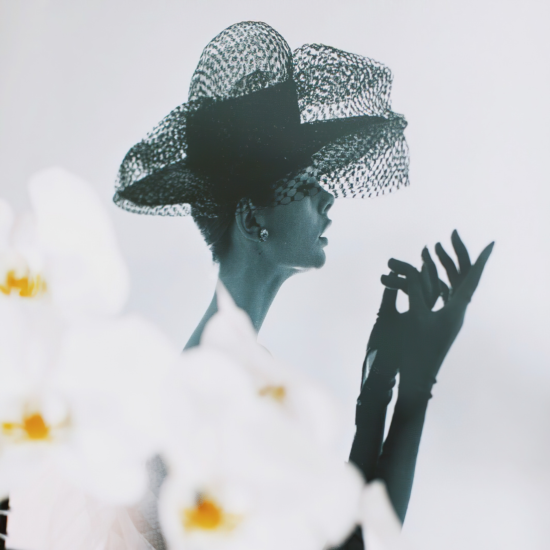 The Ritz-Carlton New York, Central Park Hotel - New York, NY, USA - Curated Photos of New York’s Fashionable Past