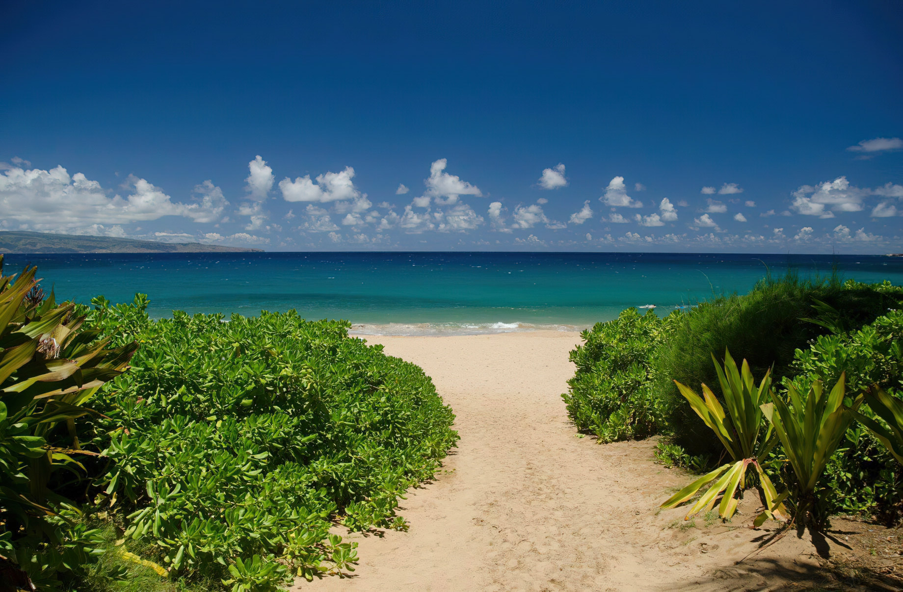 The Ritz-Carlton Maui, Kapalua Resort - Kapalua, HI, USA - Beachfront Path