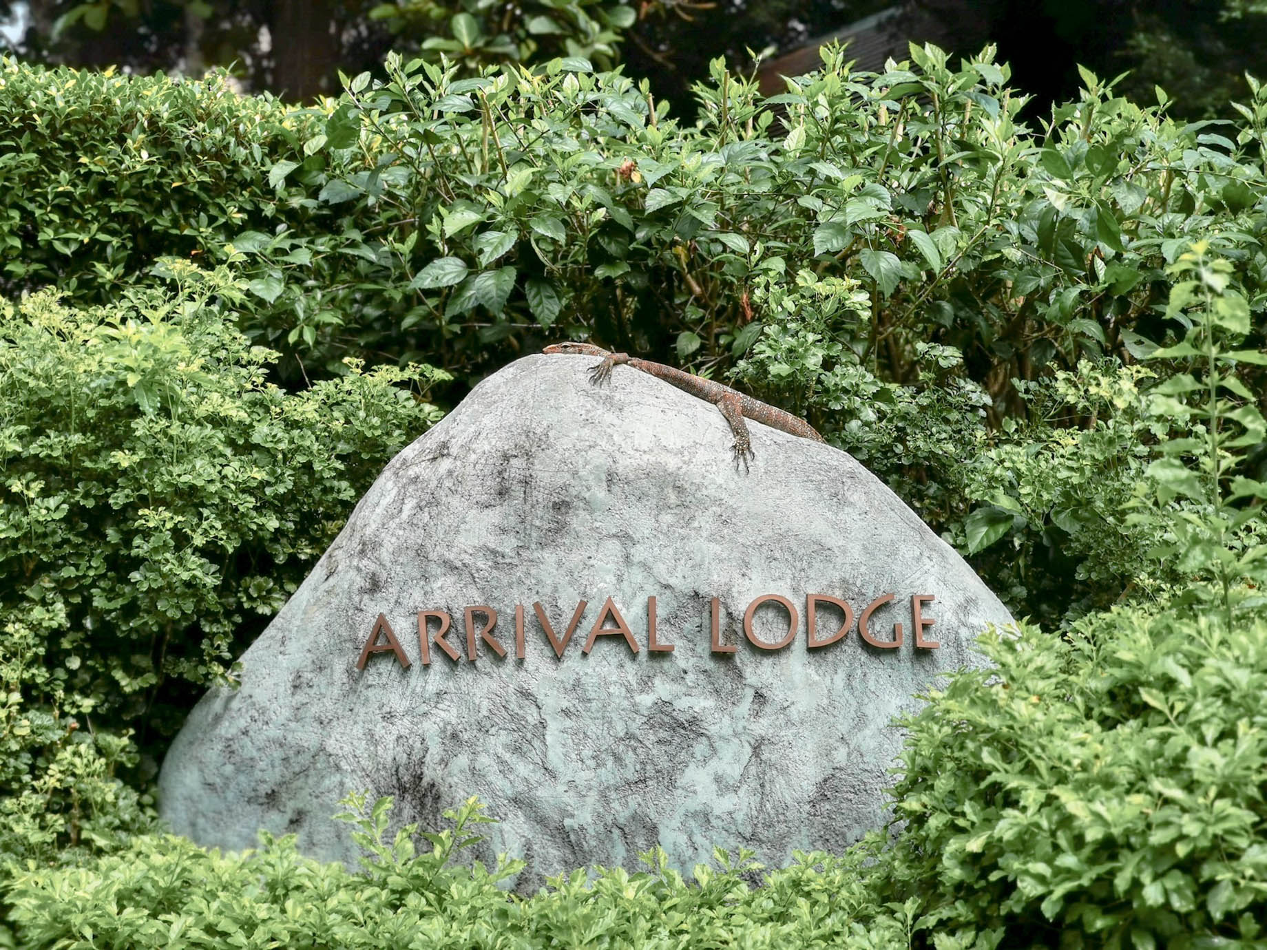 The Ritz-Carlton, Langkawi Hotel - Kedah, Malaysia - Arrival