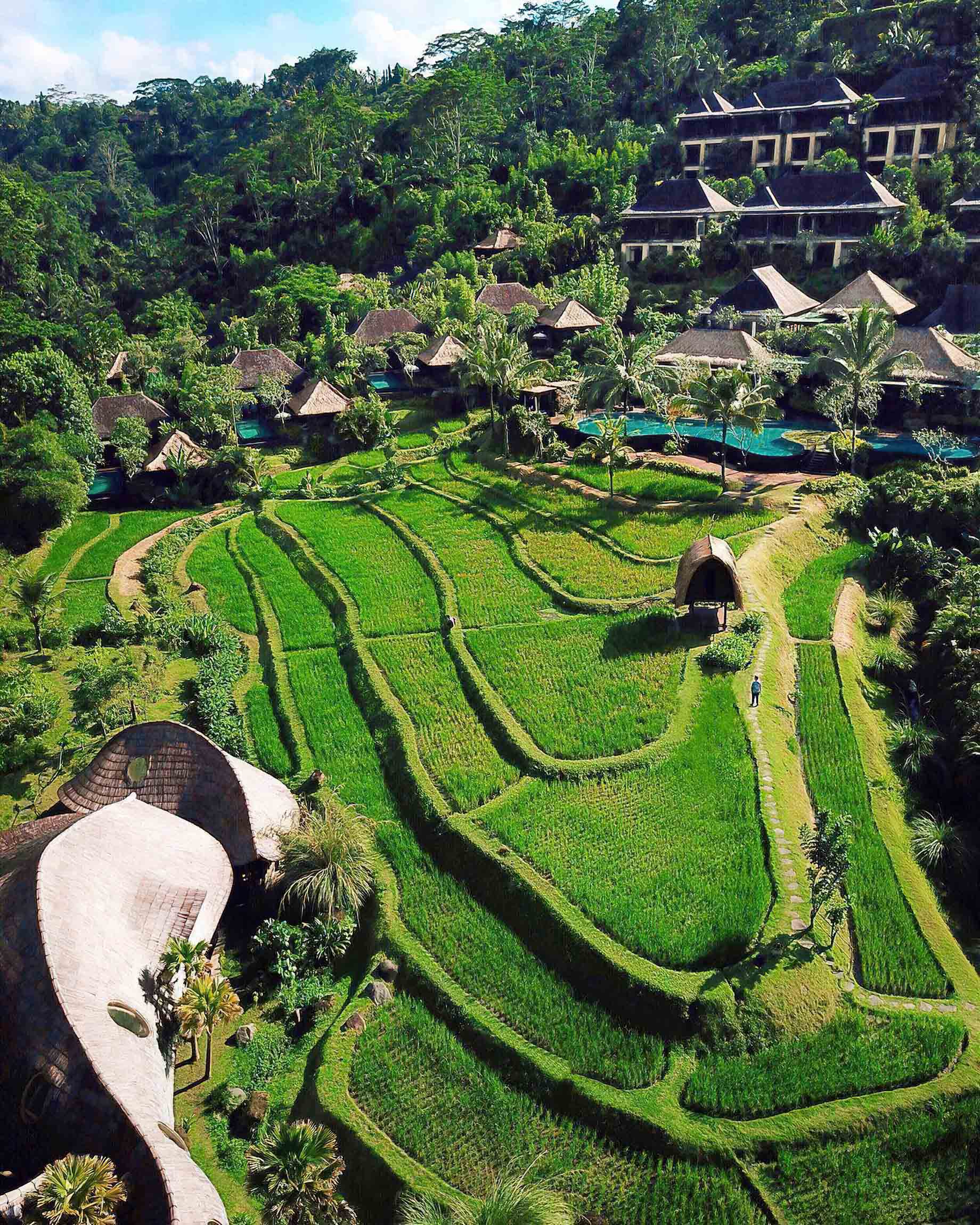 The Ritz-Carlton, Mandapa Reserve Resort – Ubud, Bali, Indonesia – Resort Rice Fields Aerial