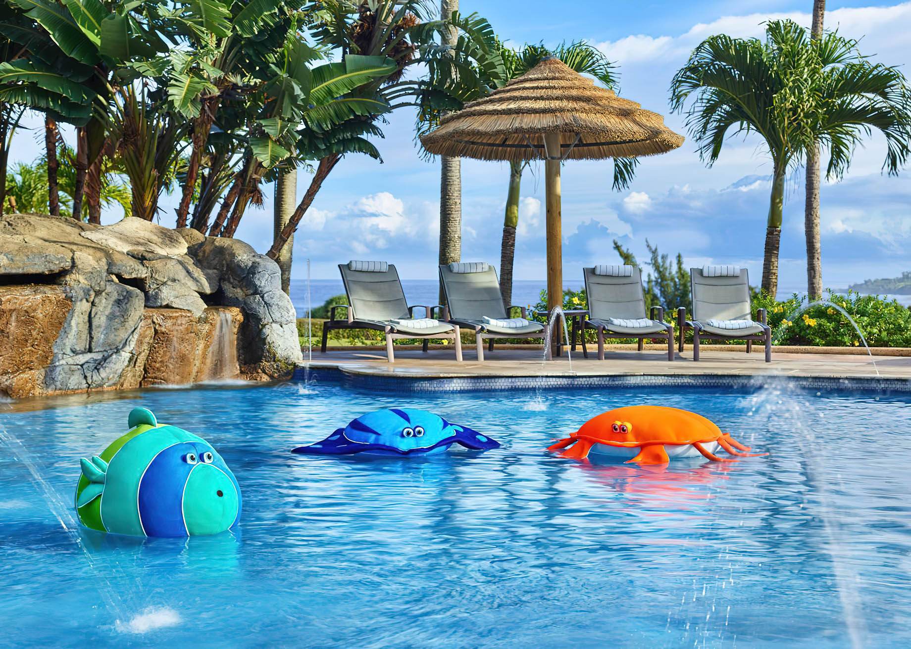 The Ritz-Carlton Maui, Kapalua Resort - Kapalua, HI, USA - Pool Toys
