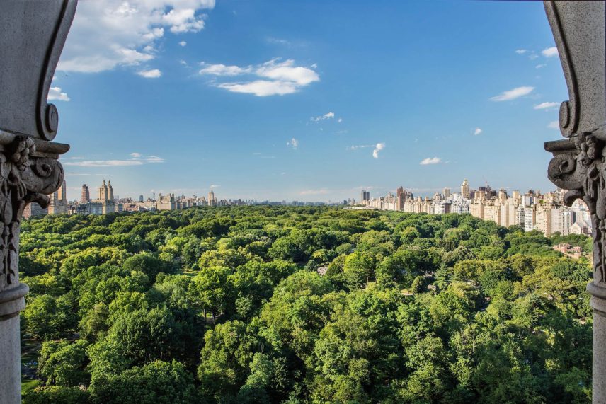 The Ritz-Carlton New York, Central Park Hotel - New York, NY, USA - Central Park View