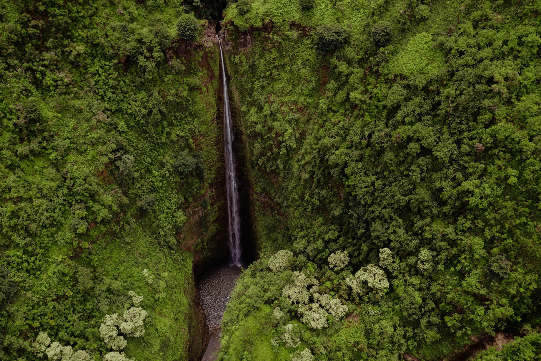 The Ritz-Carlton Maui, Kapalua Resort - Kapalua, HI, USA - Helicopter Tour of Maui Nui
