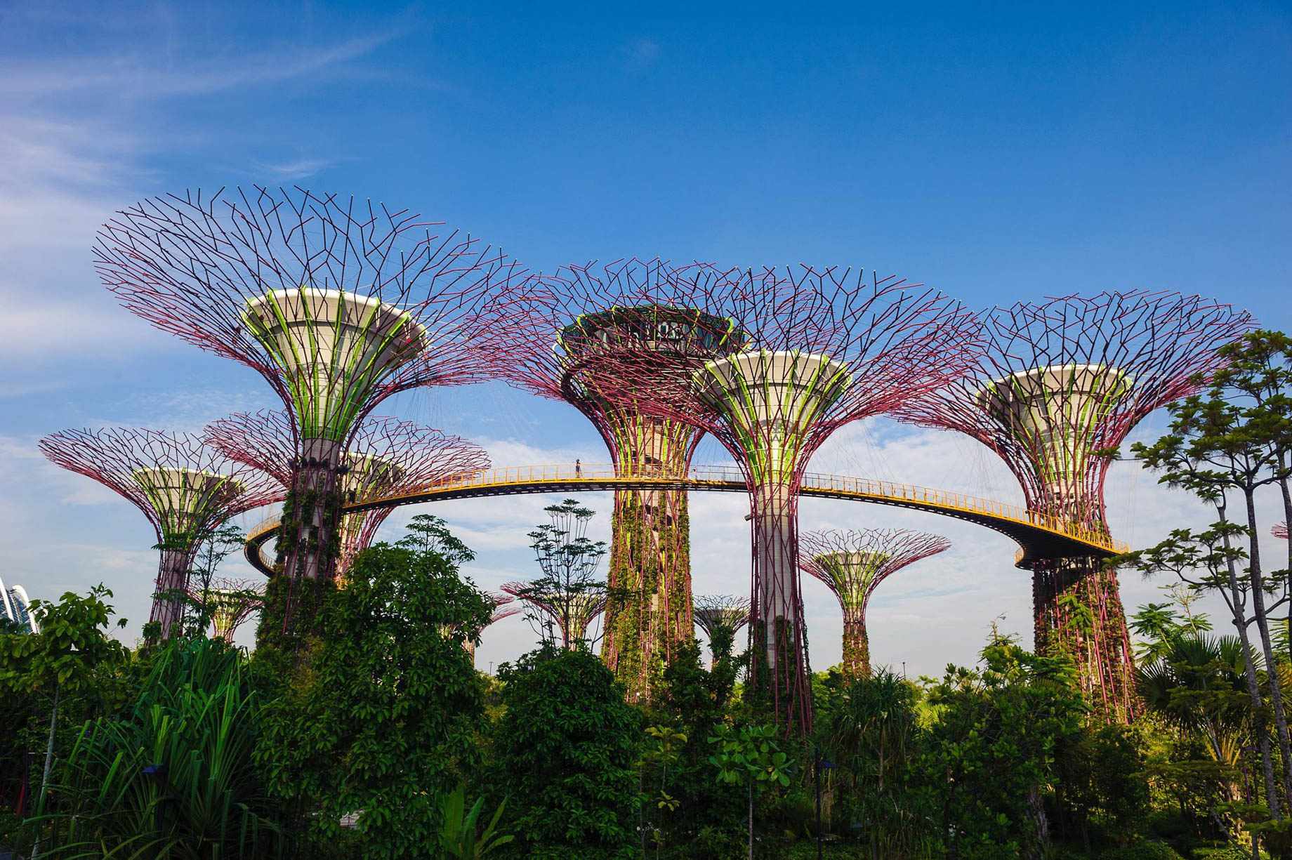 The Ritz-Carlton, Millenia Singapore Hotel - Singapore - Gardens by the Bay
