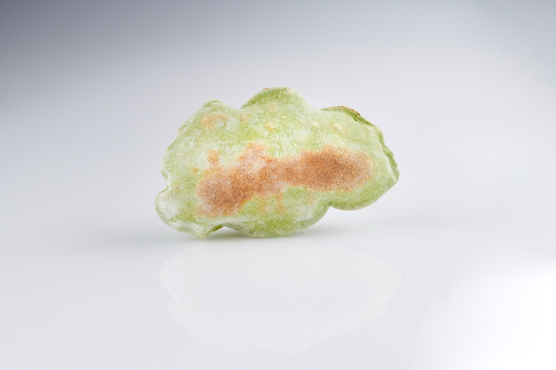 Burgenstock Hotel & Alpine Spa - Obburgen, Switzerland - Sharq Oriental Restaurant Food