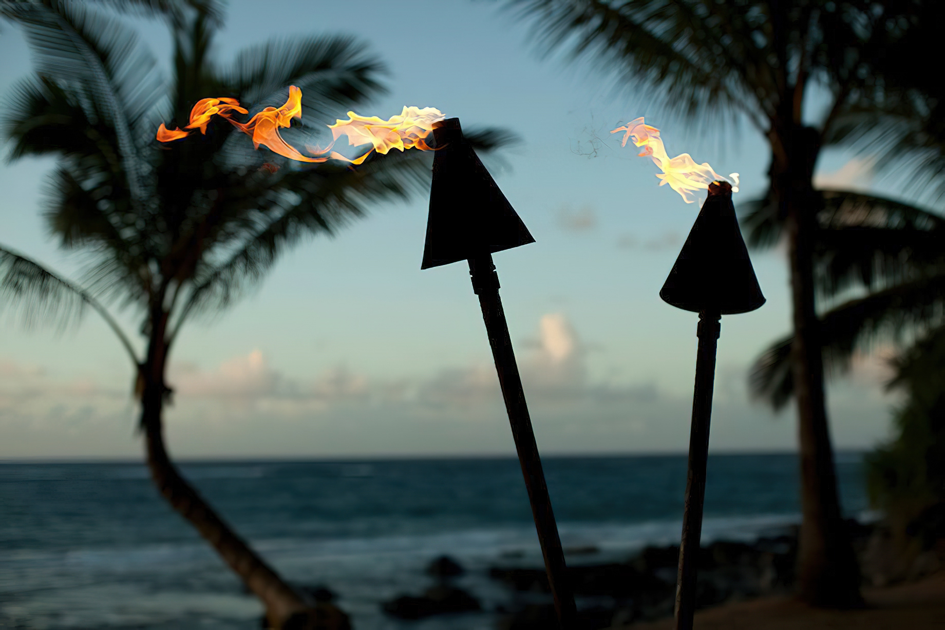 The Ritz-Carlton Maui, Kapalua Resort - Kapalua, HI, USA - Tiki Torches
