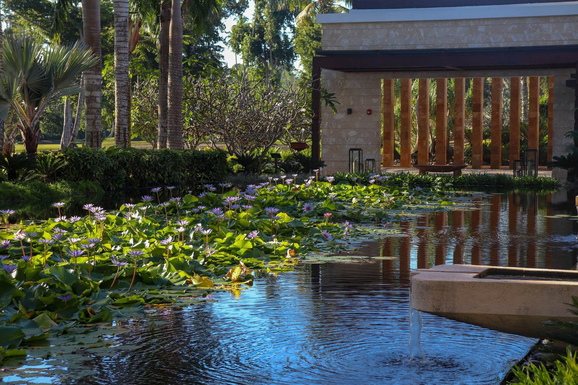The Ritz-Carlton, Dorado Beach Reserve Resort – Puerto Rico – Welcome Pavilion Relaxation Pond