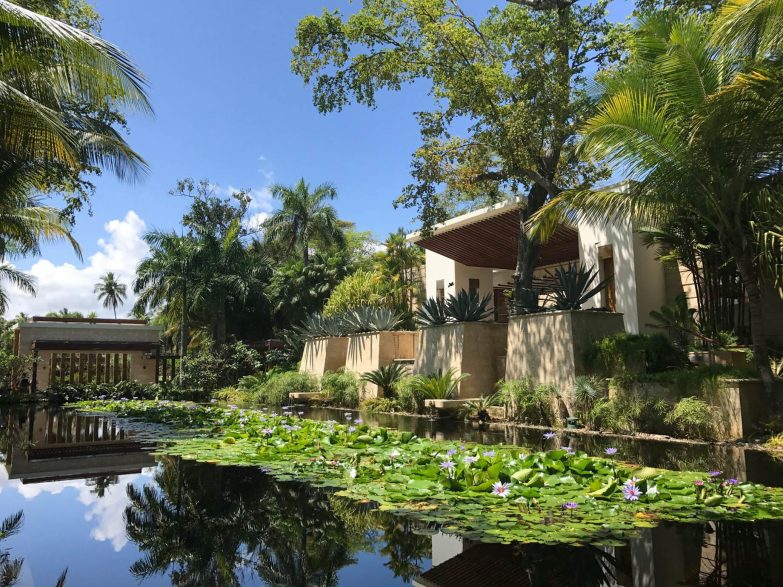 The Ritz-Carlton, Dorado Beach Reserve Resort - Puerto Rico - Welcome Pavilion Relaxation Pond