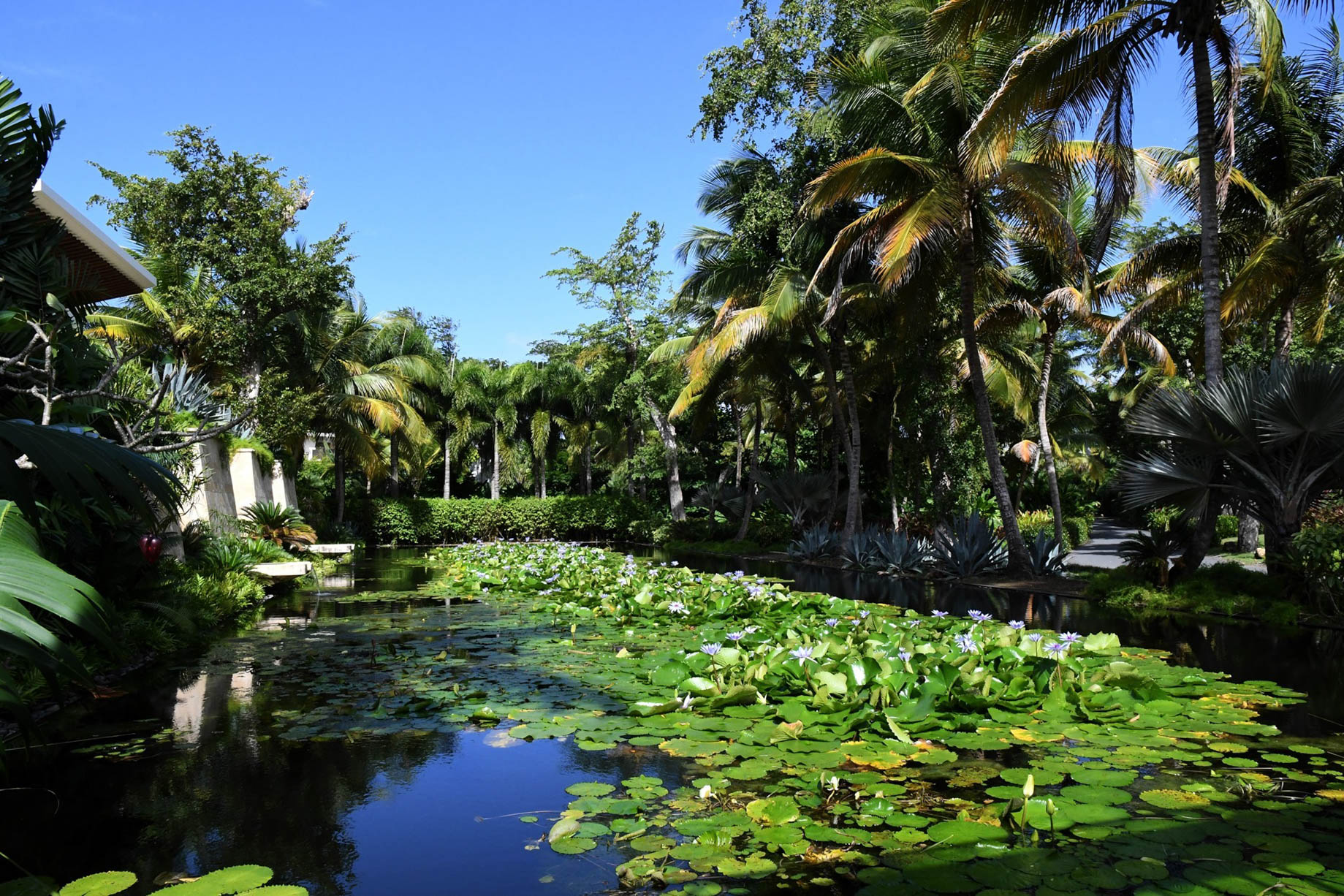 The Ritz-Carlton, Dorado Beach Reserve Resort – Puerto Rico – Welcome Pavilion Relaxation Pond