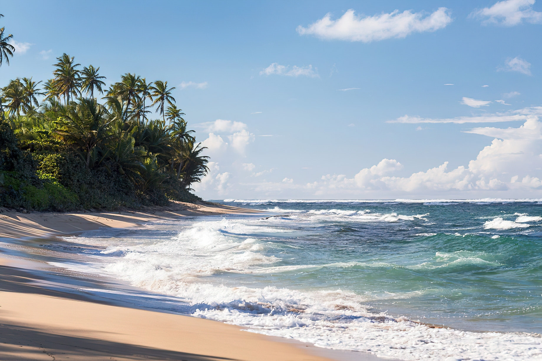 The Ritz-Carlton, Dorado Beach Reserve Resort - Puerto Rico - Private Tropical Beach