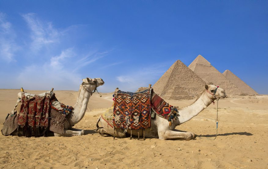 The Nile Ritz-Carlton, Cairo Hotel - Cairo, Egypt - Camels in front of Pyramids