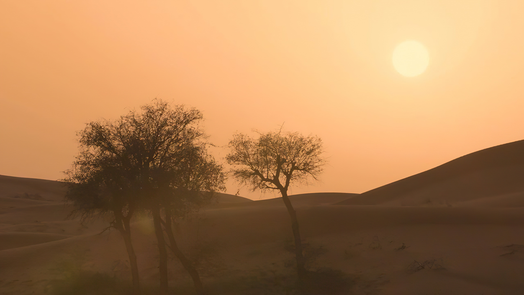 The Ritz-Carlton Ras Al Khaimah, Al Wadi Desert Resort - UAE - Desert Sunset