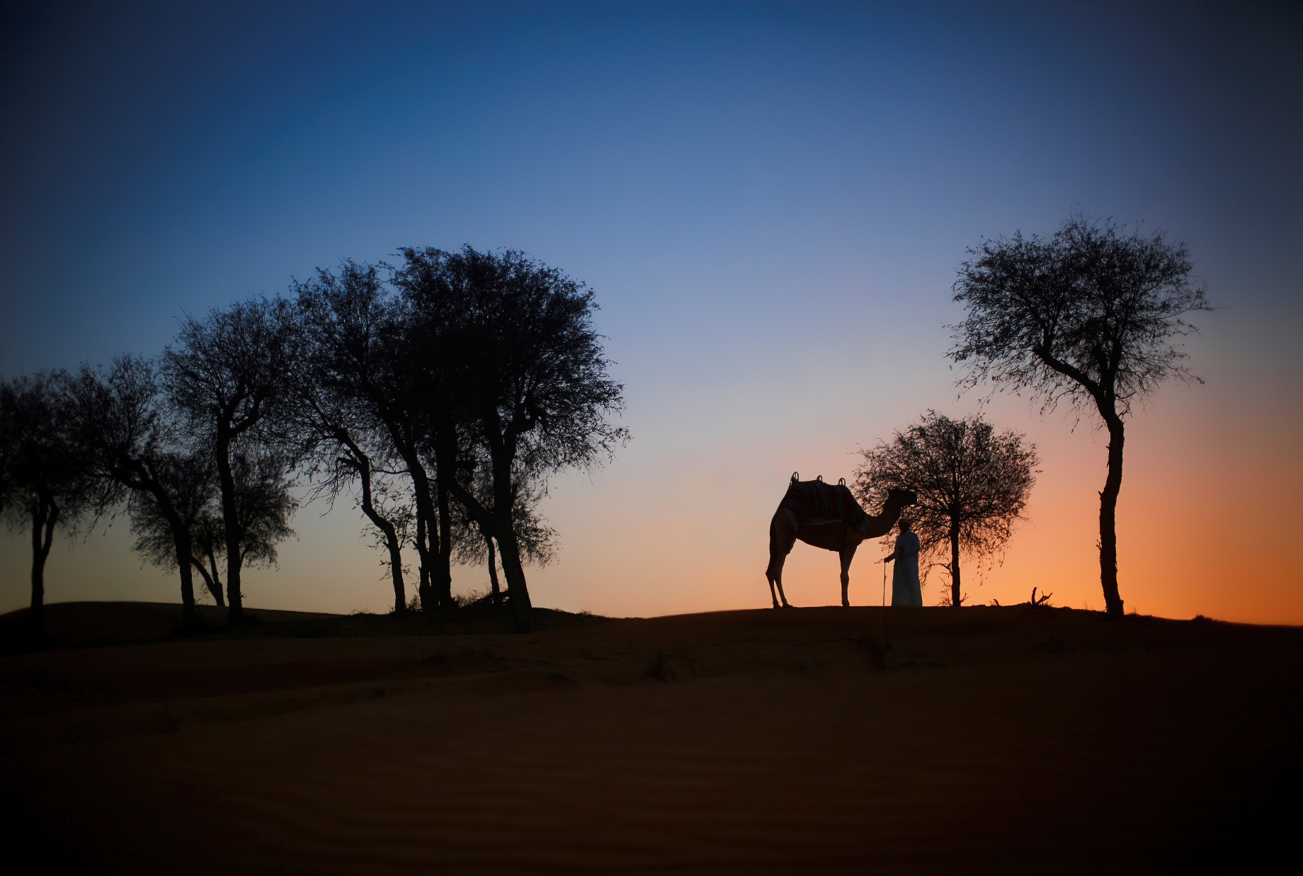 The Ritz-Carlton Ras Al Khaimah, Al Wadi Desert Resort – UAE – Desert Sunset