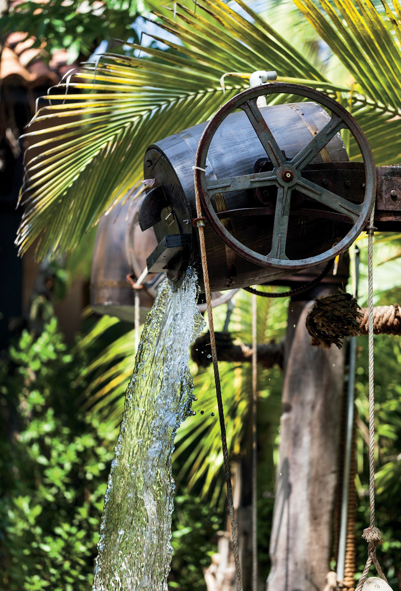 The Ritz-Carlton, Dorado Beach Reserve Resort – Puerto Rico – Spa Botanico Water Spout