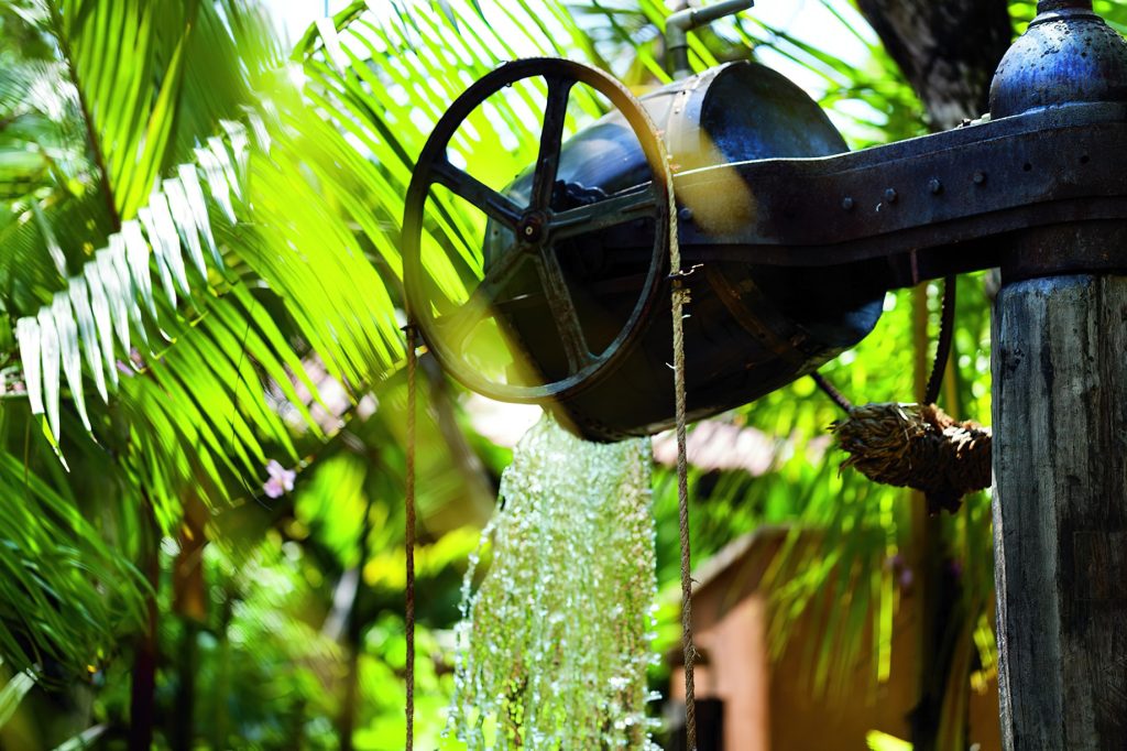The Ritz-Carlton, Dorado Beach Reserve Resort - Puerto Rico - Spa Botanico Water Spout
