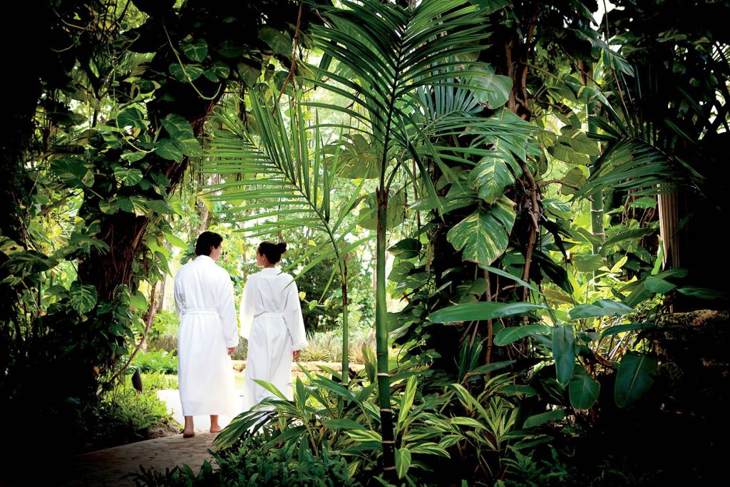 The Ritz-Carlton, Dorado Beach Reserve Resort - Puerto Rico - Spa Botanico Lush Nature Setting
