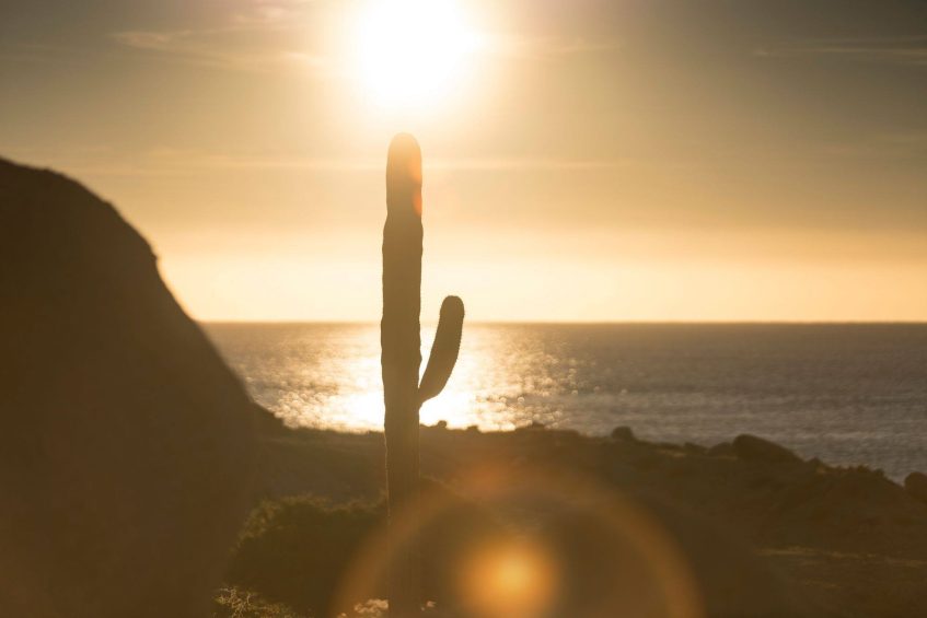 The Ritz-Carlton, Zadun Reserve Resort - Los Cabos, Mexico - Cactus Beachview Sunset