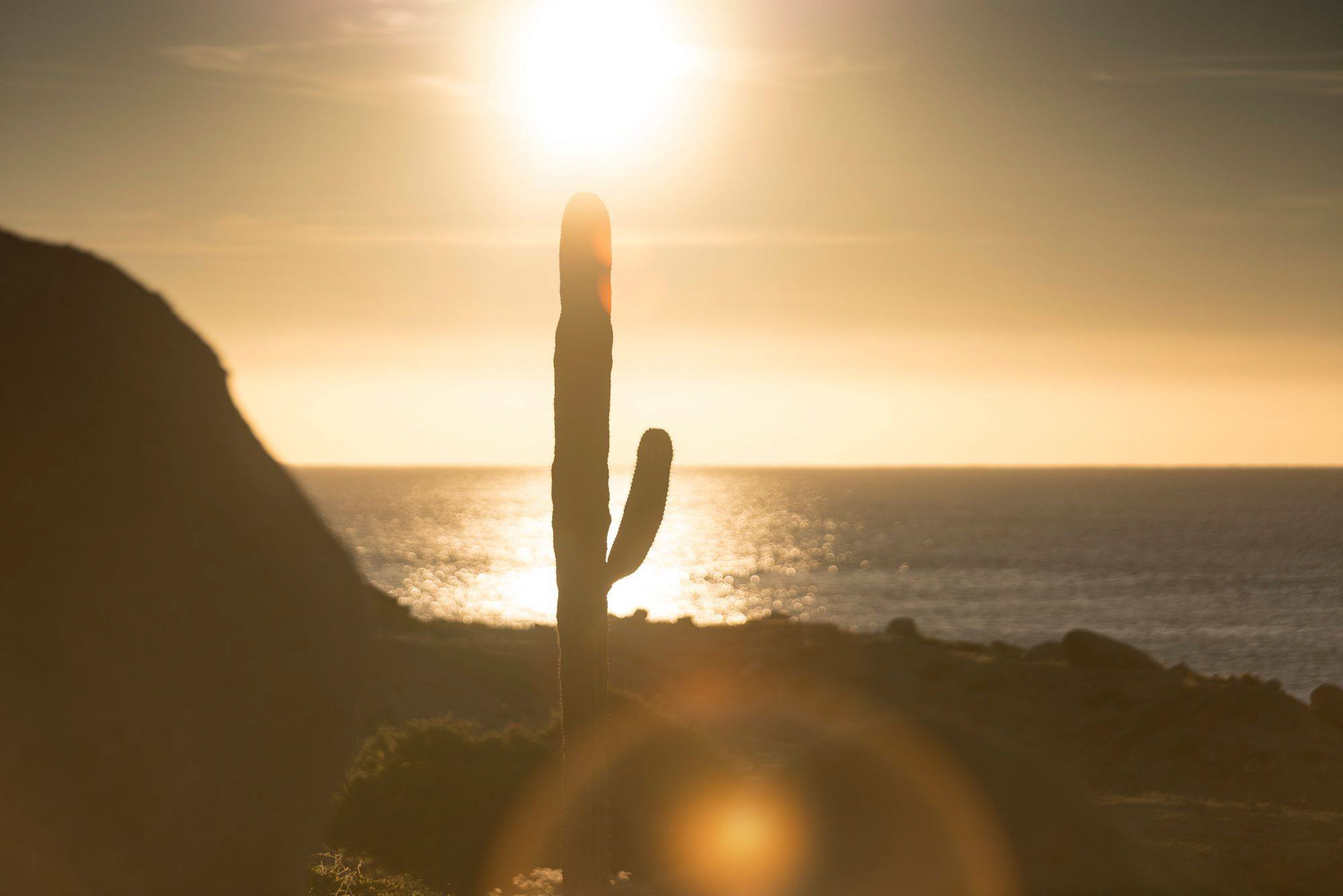 The Ritz-Carlton, Zadun Reserve Resort – Los Cabos, Mexico – Cactus Beachview Sunset